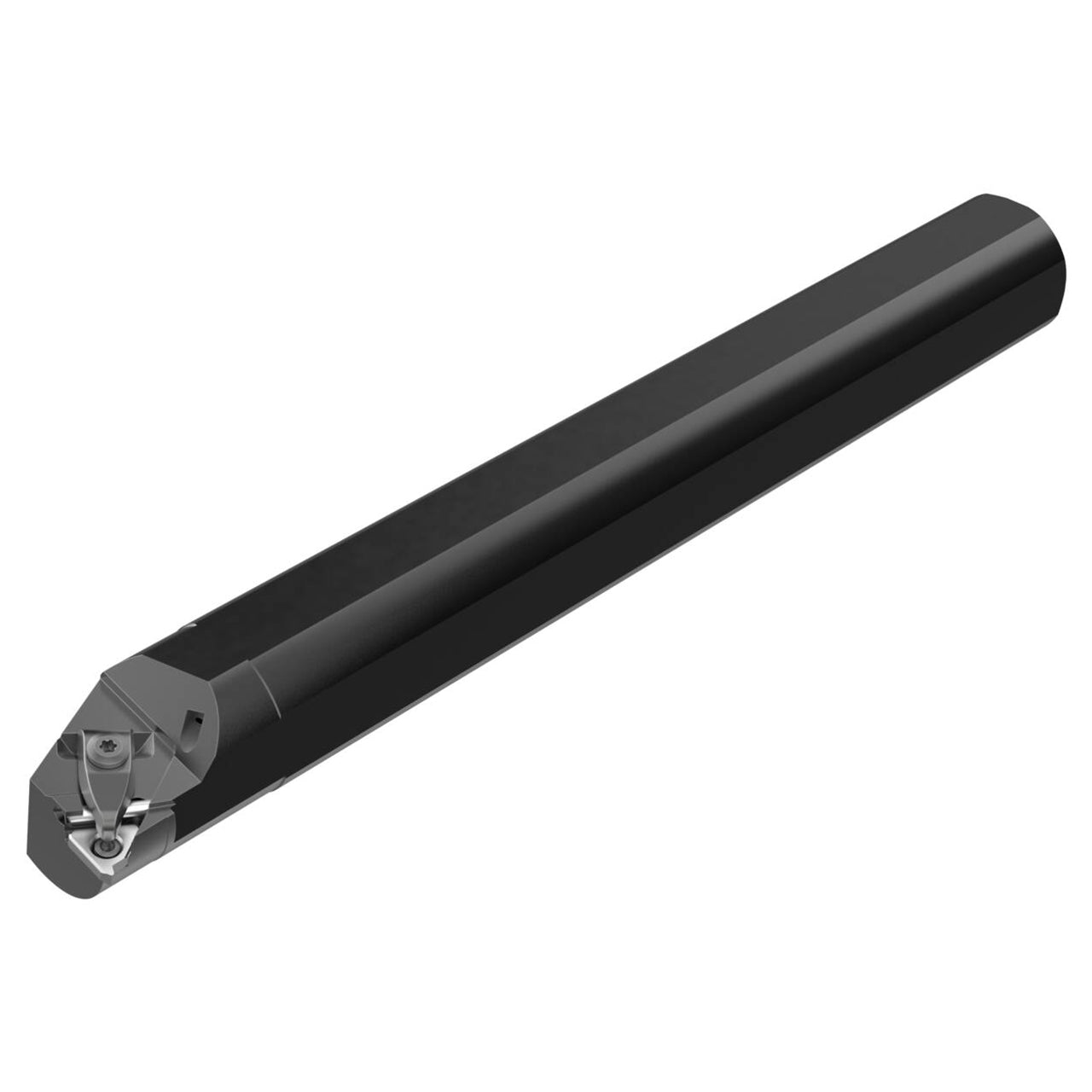 02562787.jpg