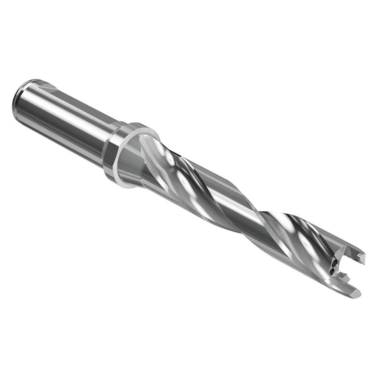 02623571.jpg