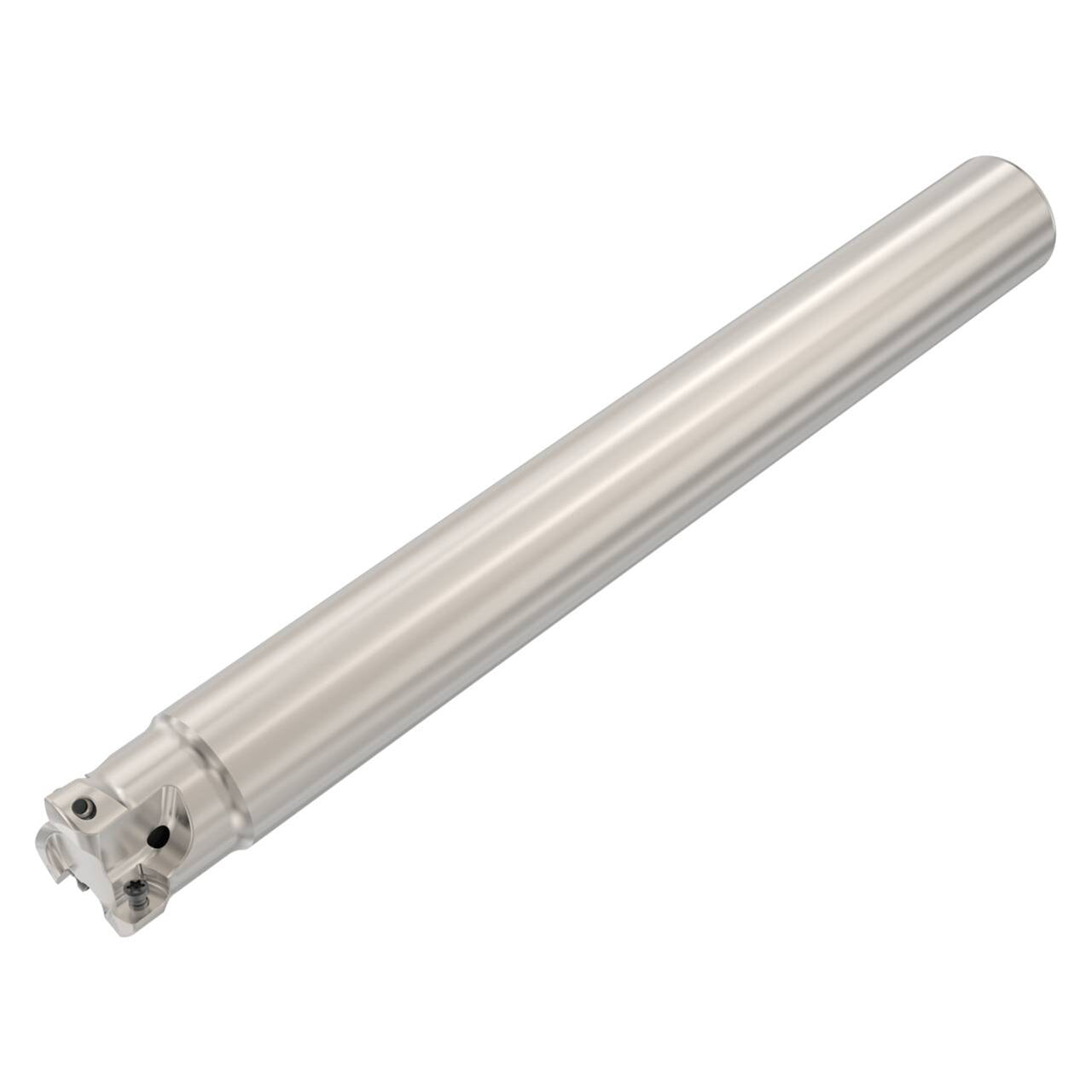 02881035.jpg