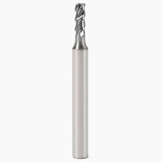 02881684.jpg