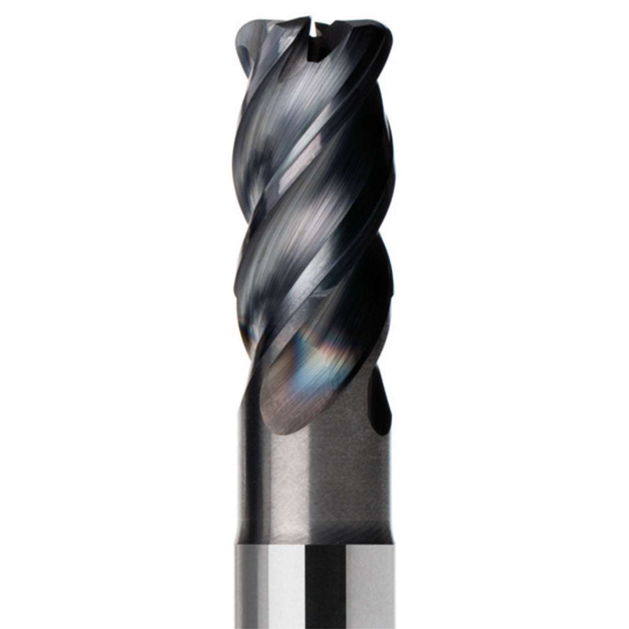02927954.jpg