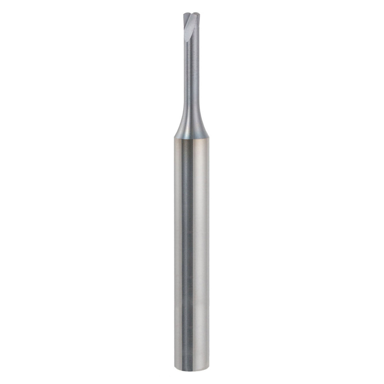 03043577.jpg