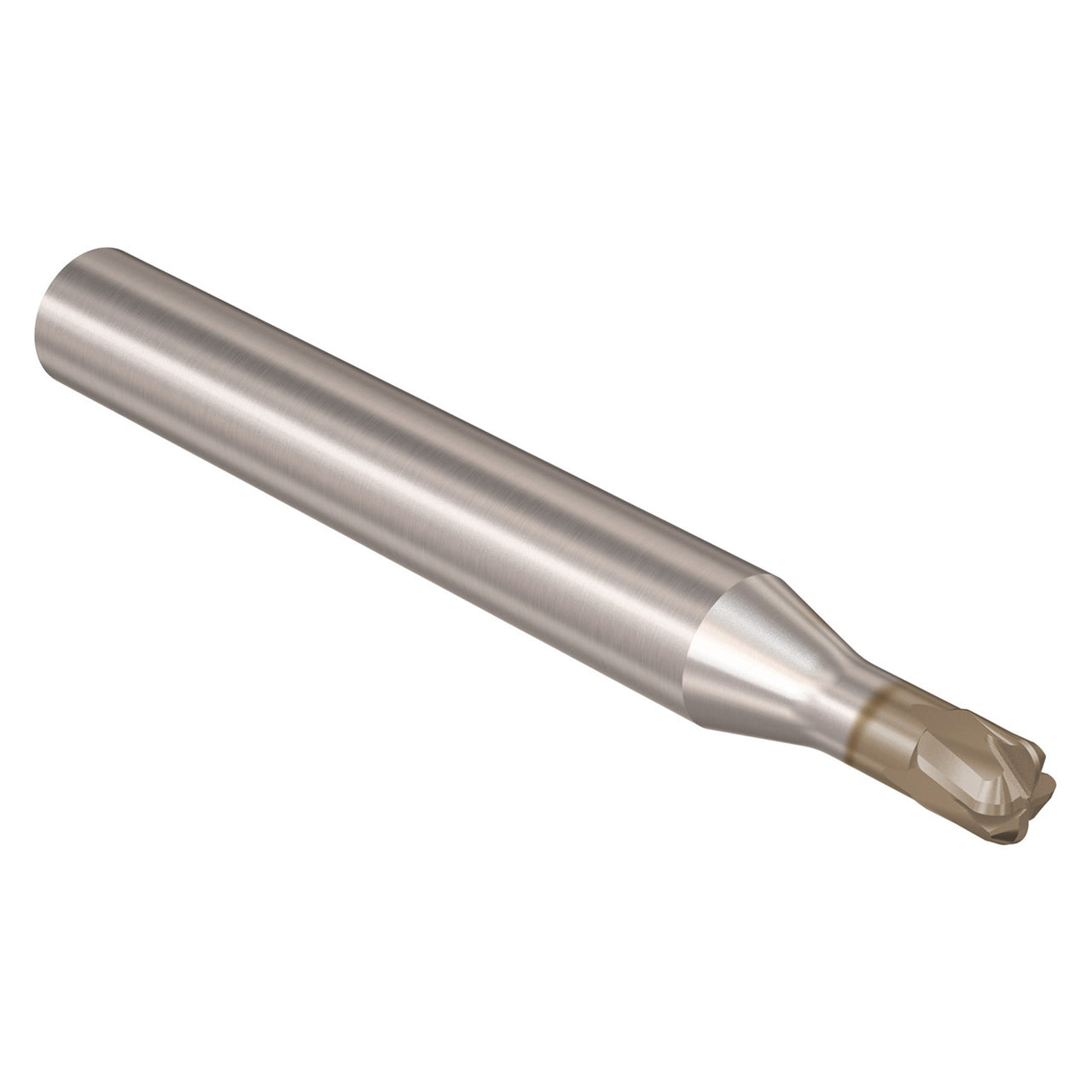03067299.jpg