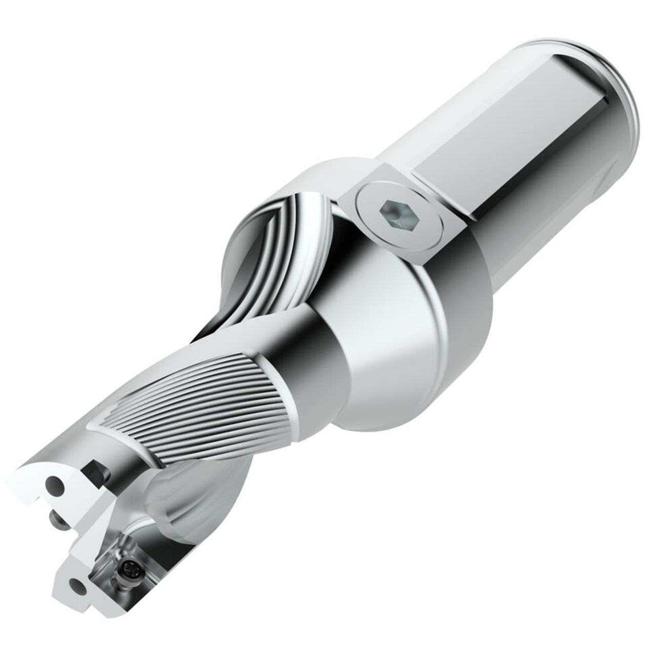 03080738.jpg