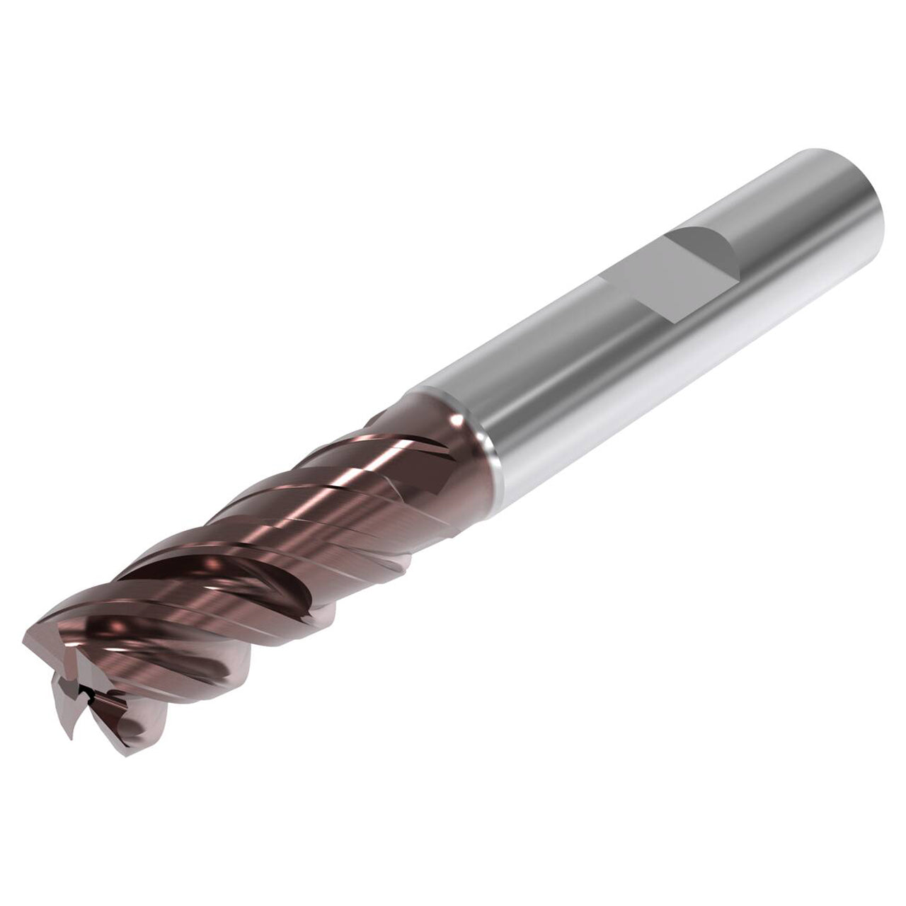 03187001.jpg