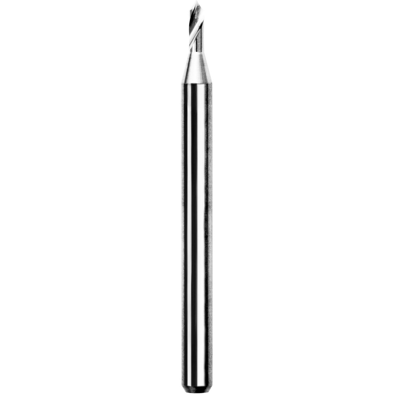 07005.jpg