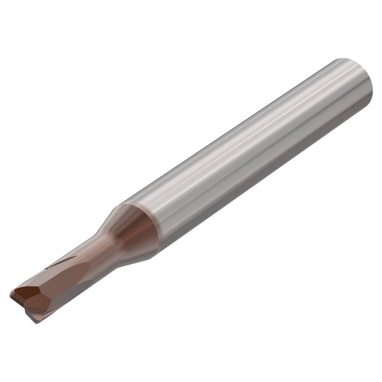 10106496.jpg