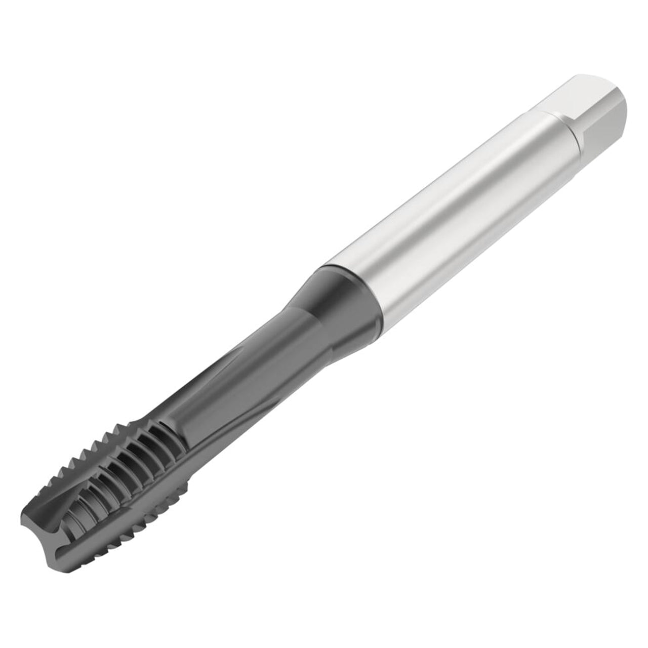 10280460.jpg