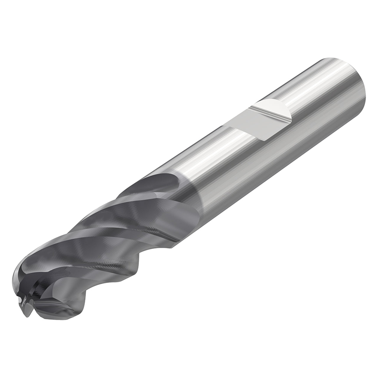 10302667.jpg