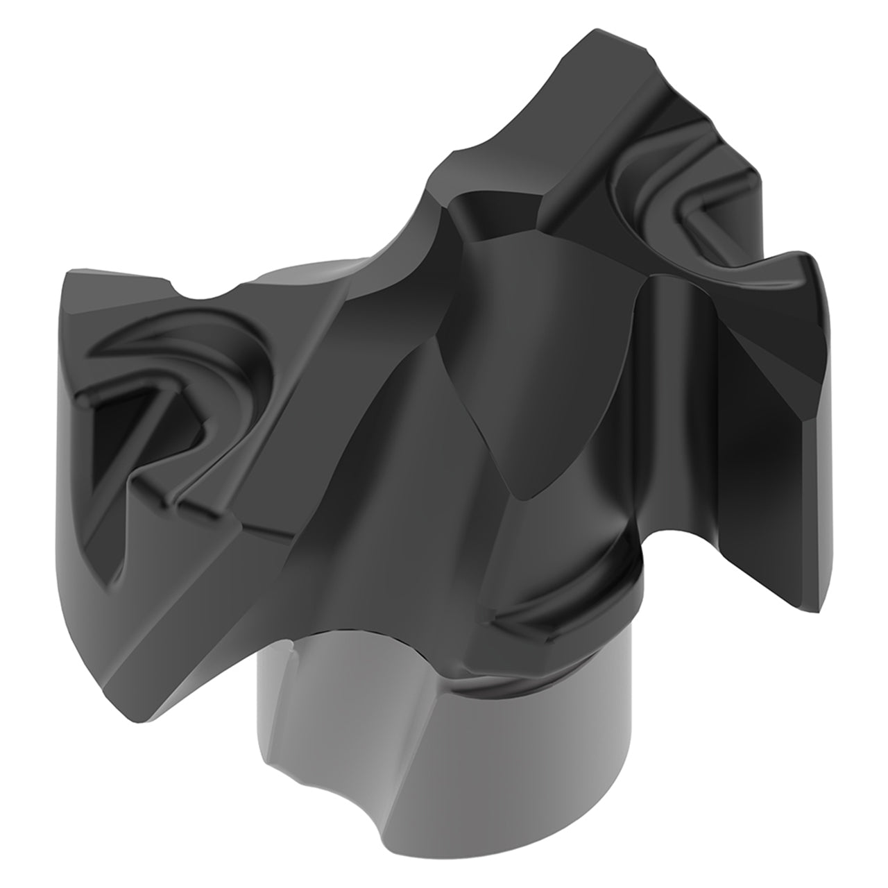 10333593.jpg