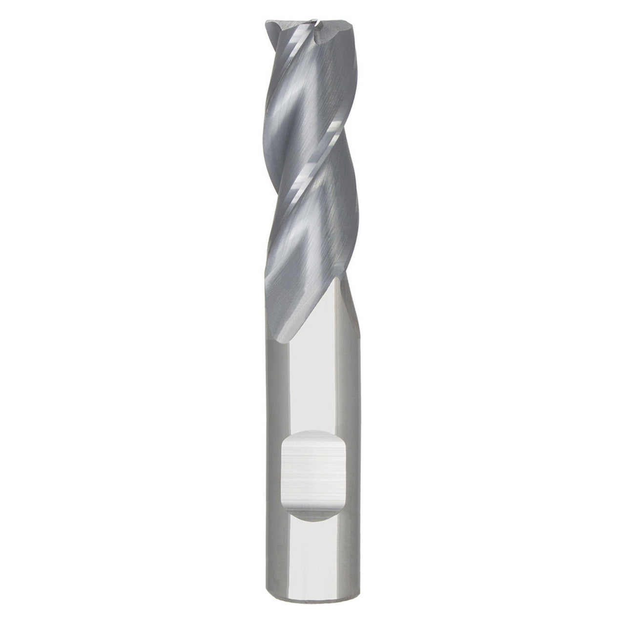 17003413.jpg