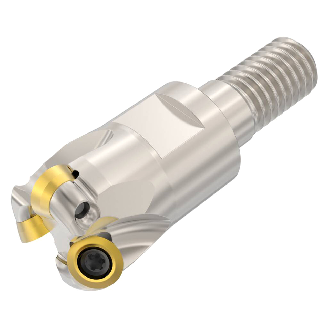 02435540.jpg