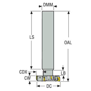 02449098.jpg