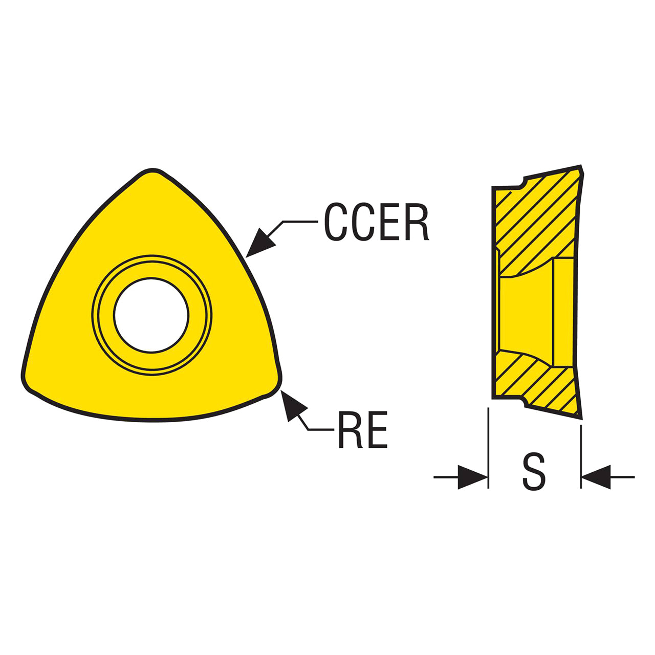 02462817.jpg