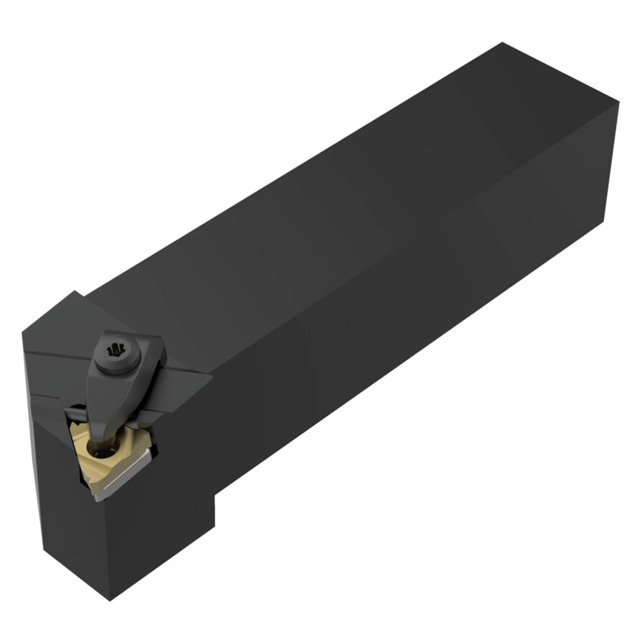 02462825.jpg