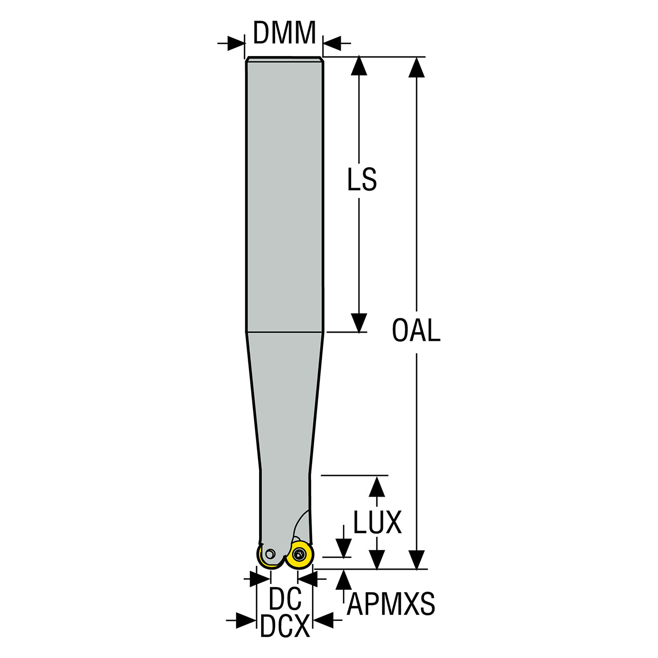 02495669.jpg