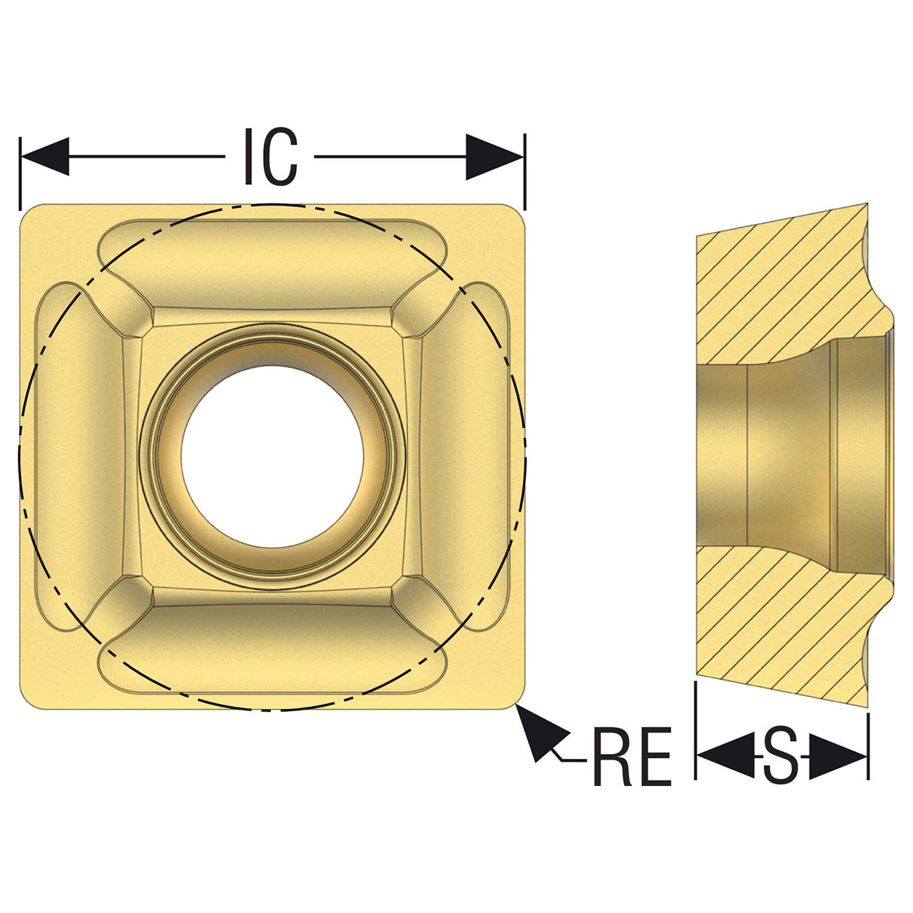 02505935.jpg