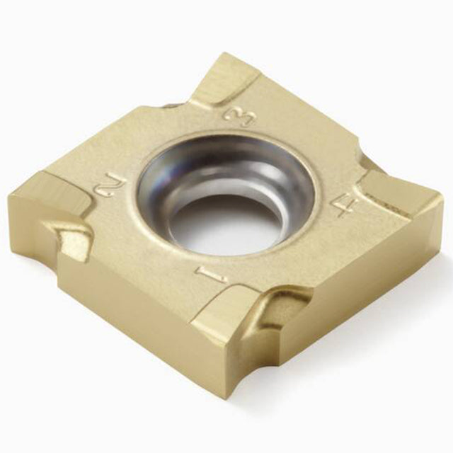 02526630.jpg