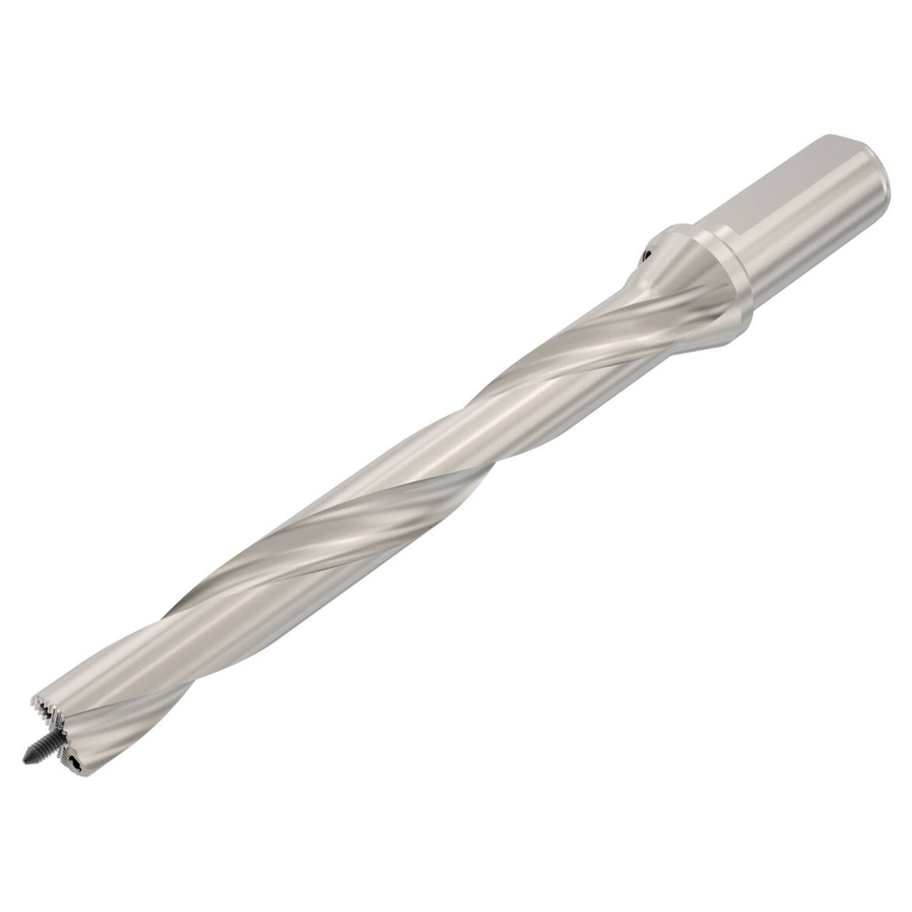02529095.jpg