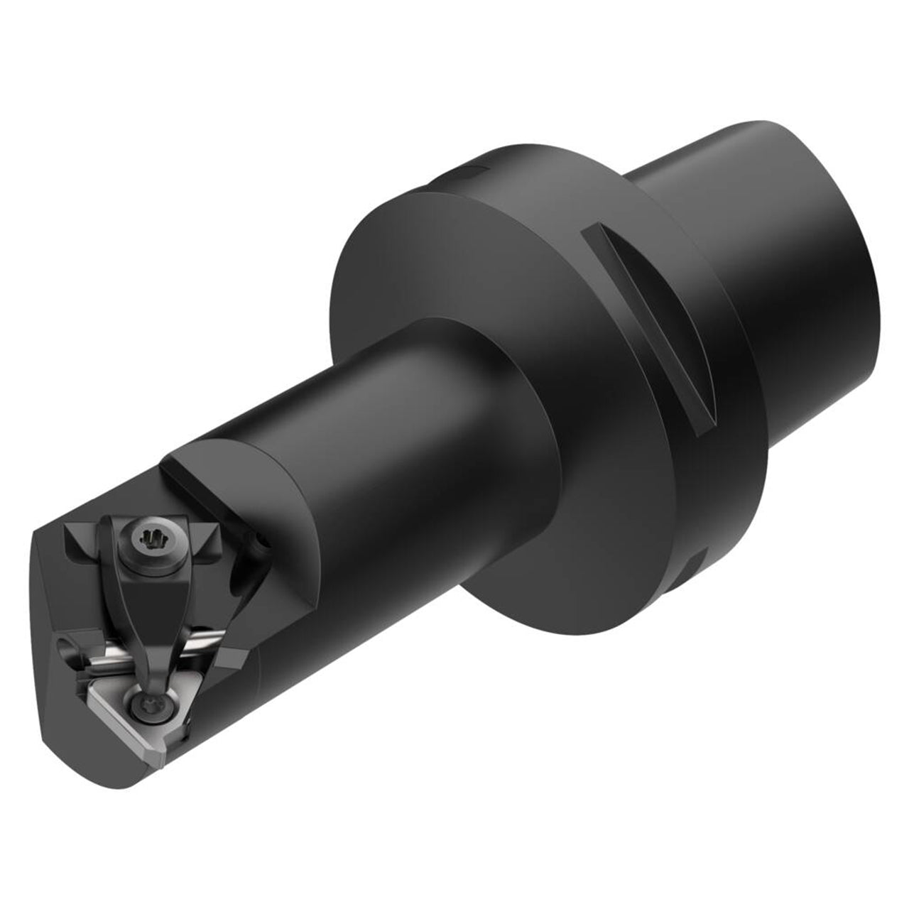02555762.jpg
