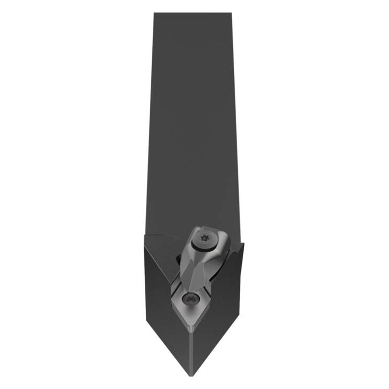 02565509.jpg