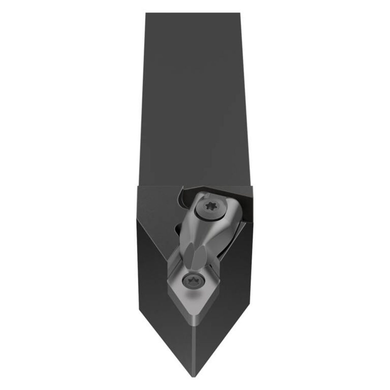 02565513.jpg