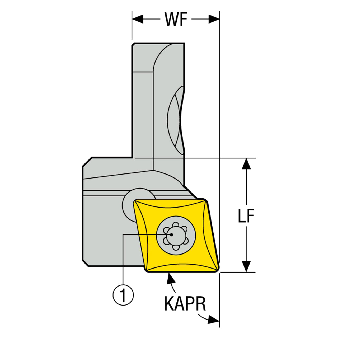 02594990.jpg
