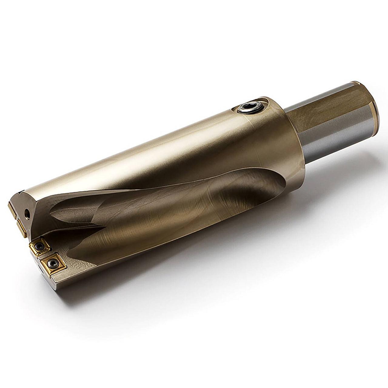 02602089.jpg