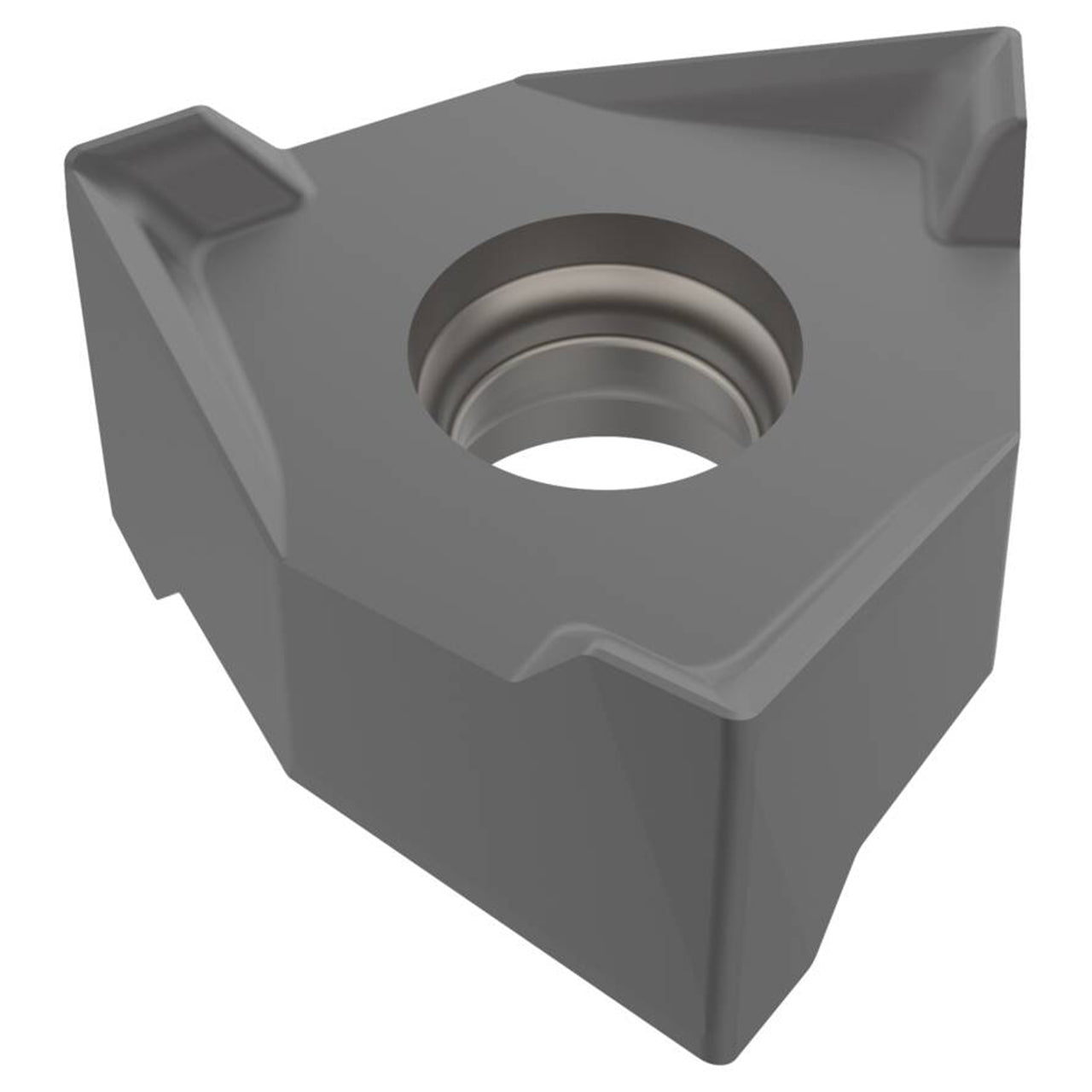 02623244.jpg