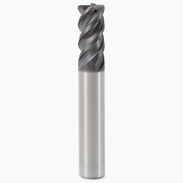 02623839.jpg