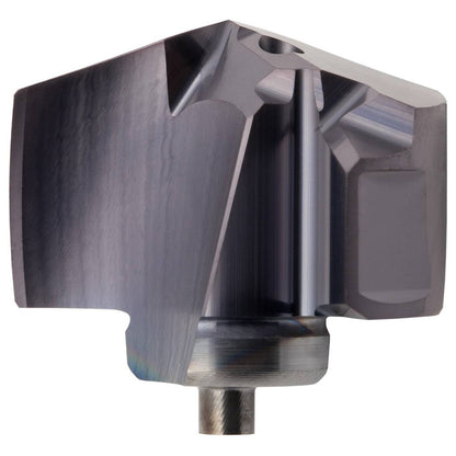 02635969.jpg