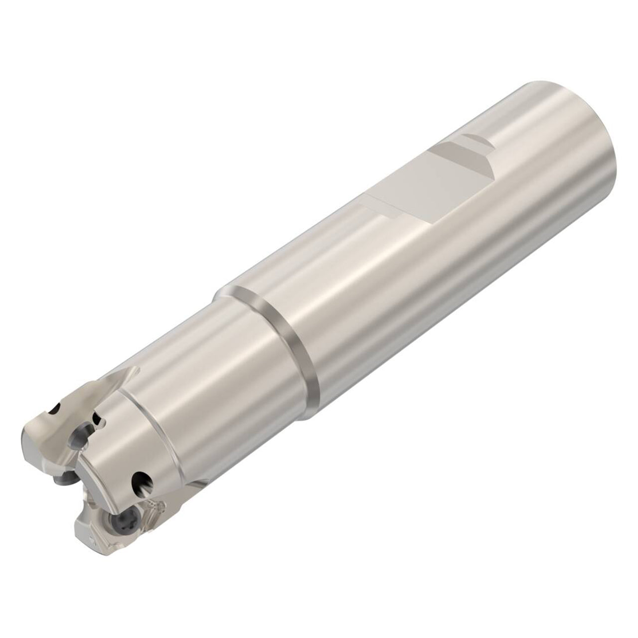 02770536.jpg