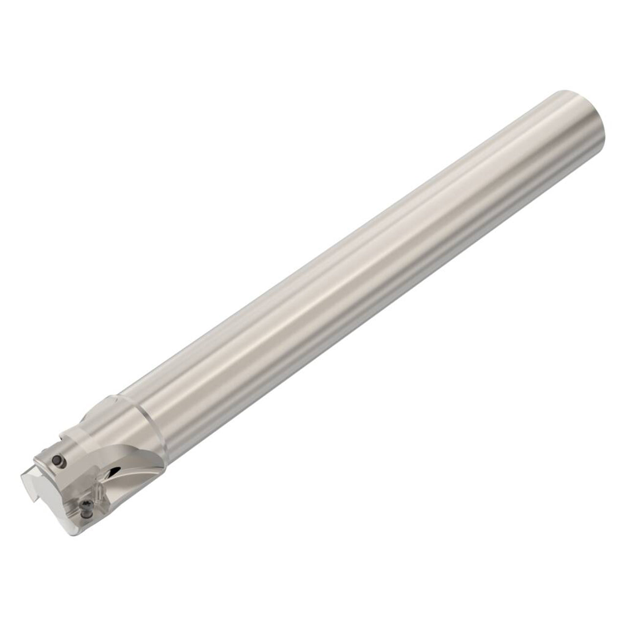 02772253.jpg