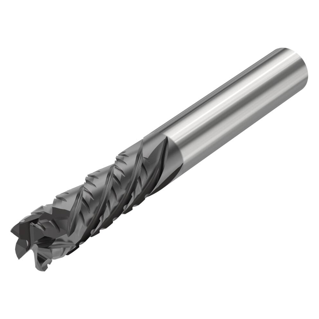 02843009.jpg