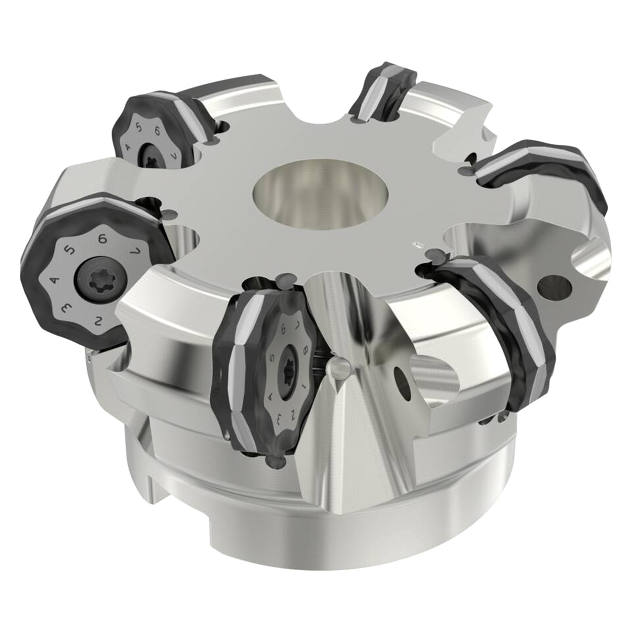 02848781.jpg