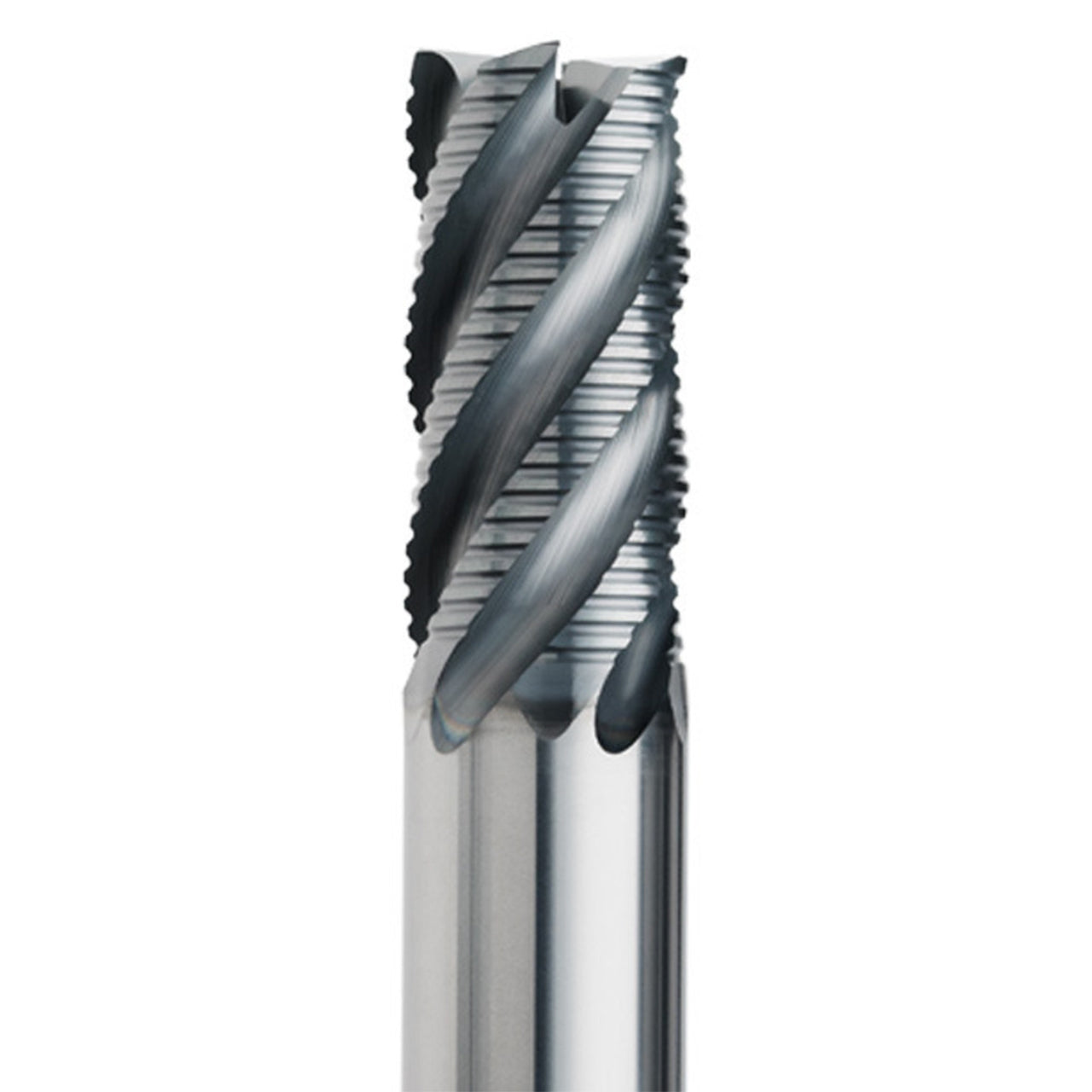 02856510.jpg