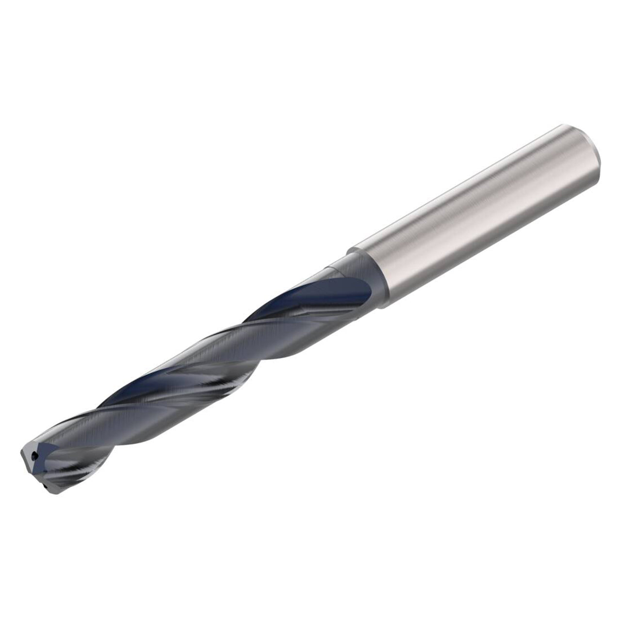 02897888.jpg