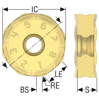 02899500.jpg