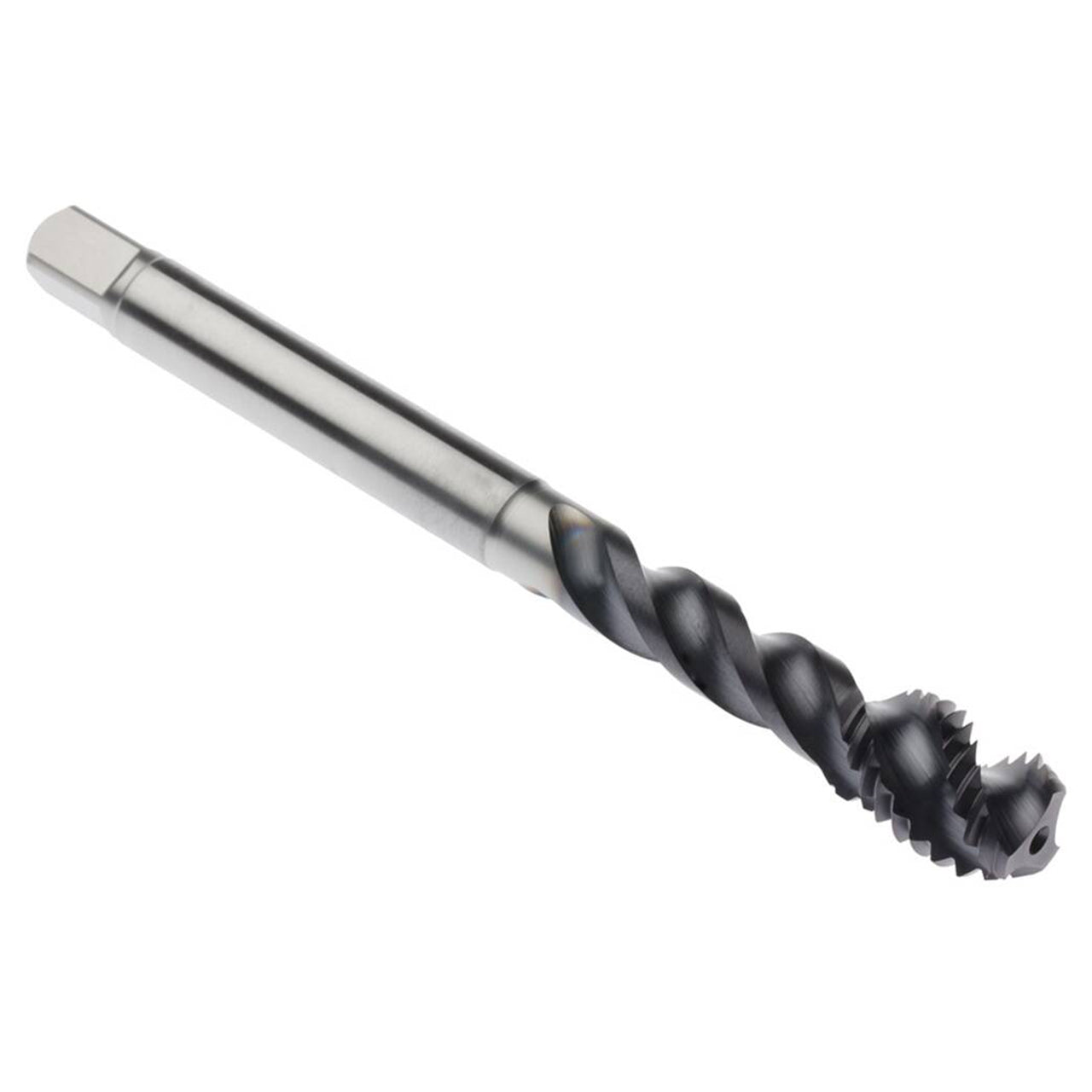 03000133.jpg