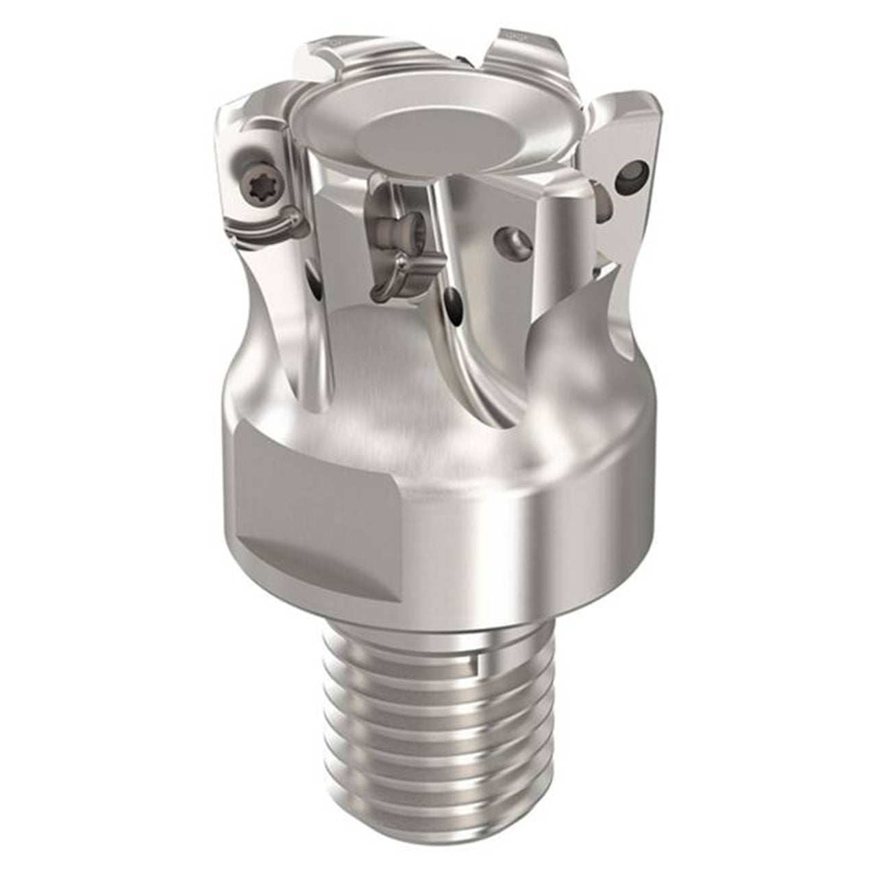 03002406.jpg
