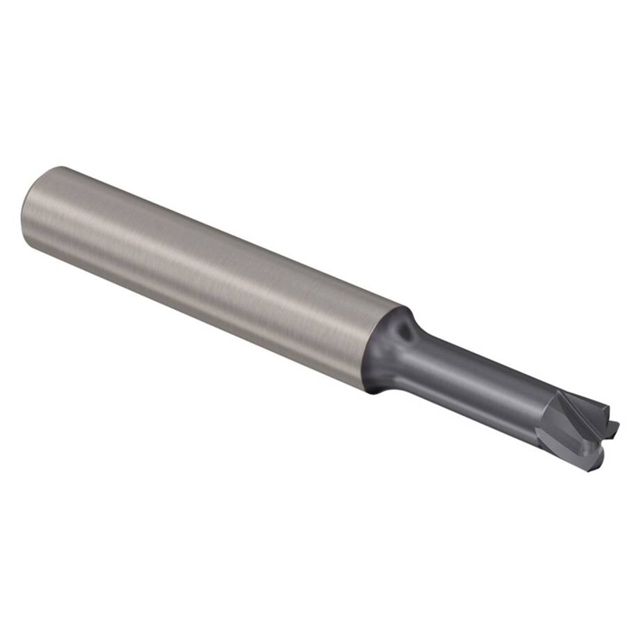 03003390.jpg