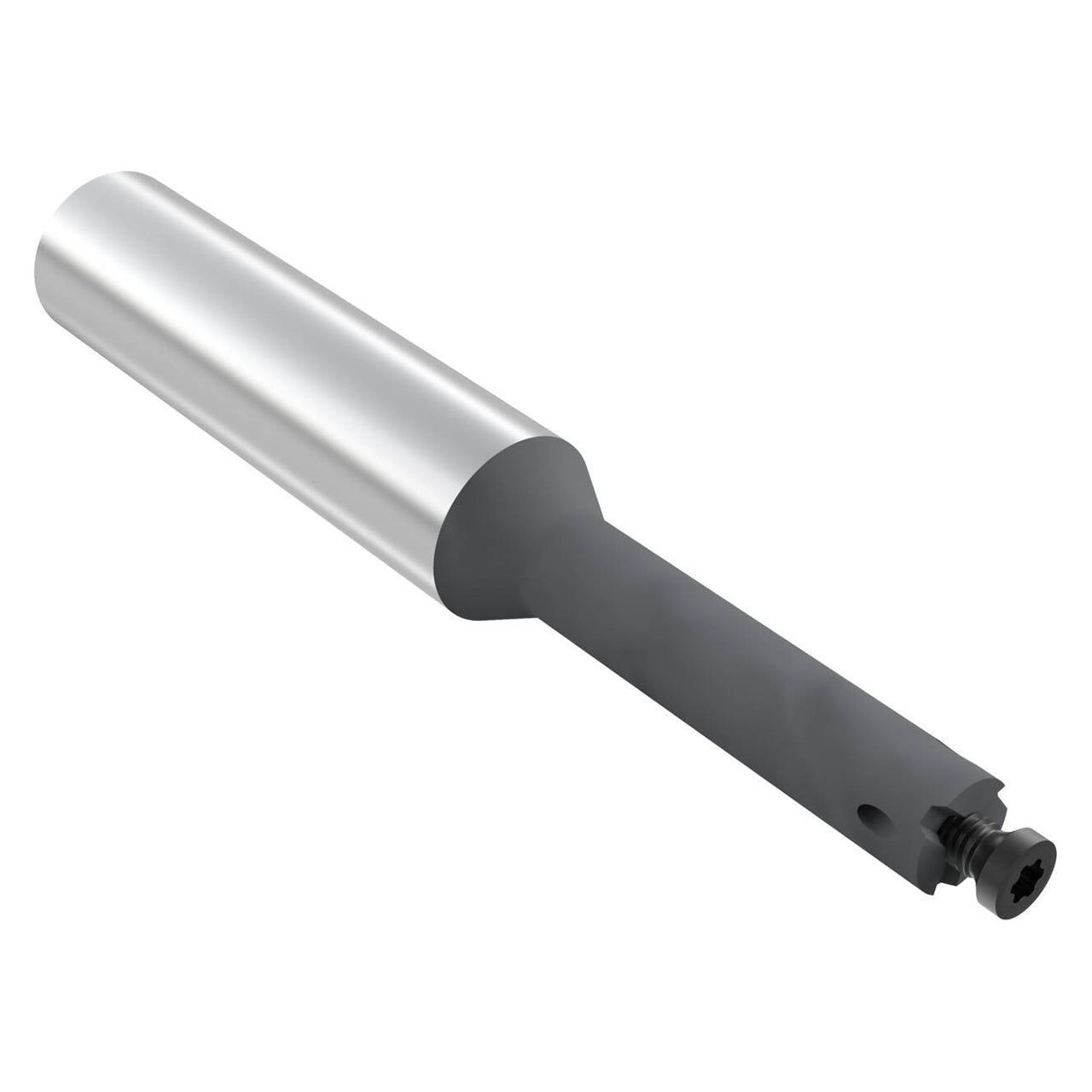 03042026.jpg