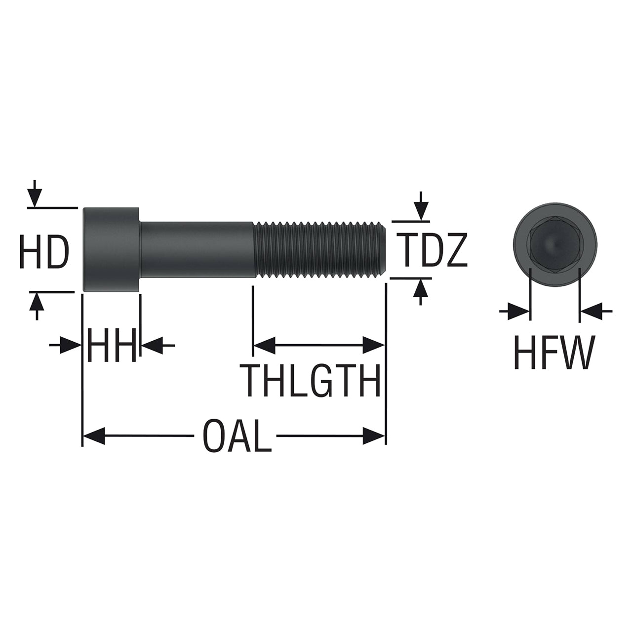 03044146.jpg