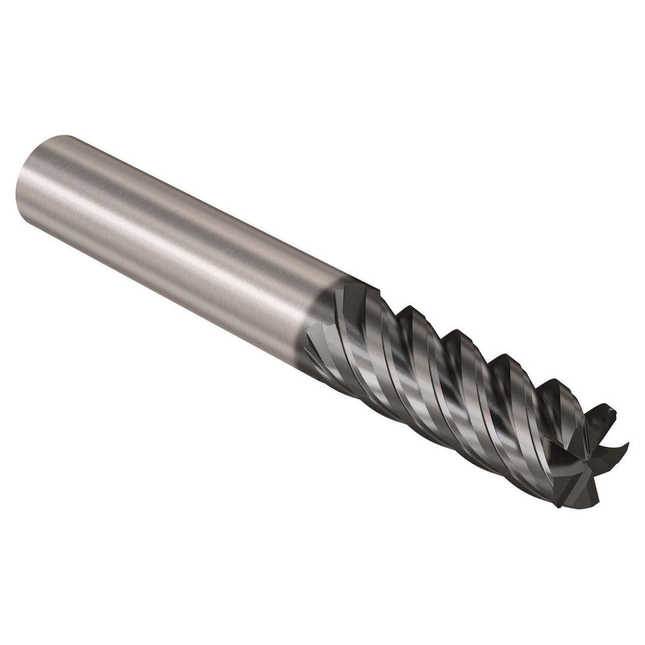03067376.jpg