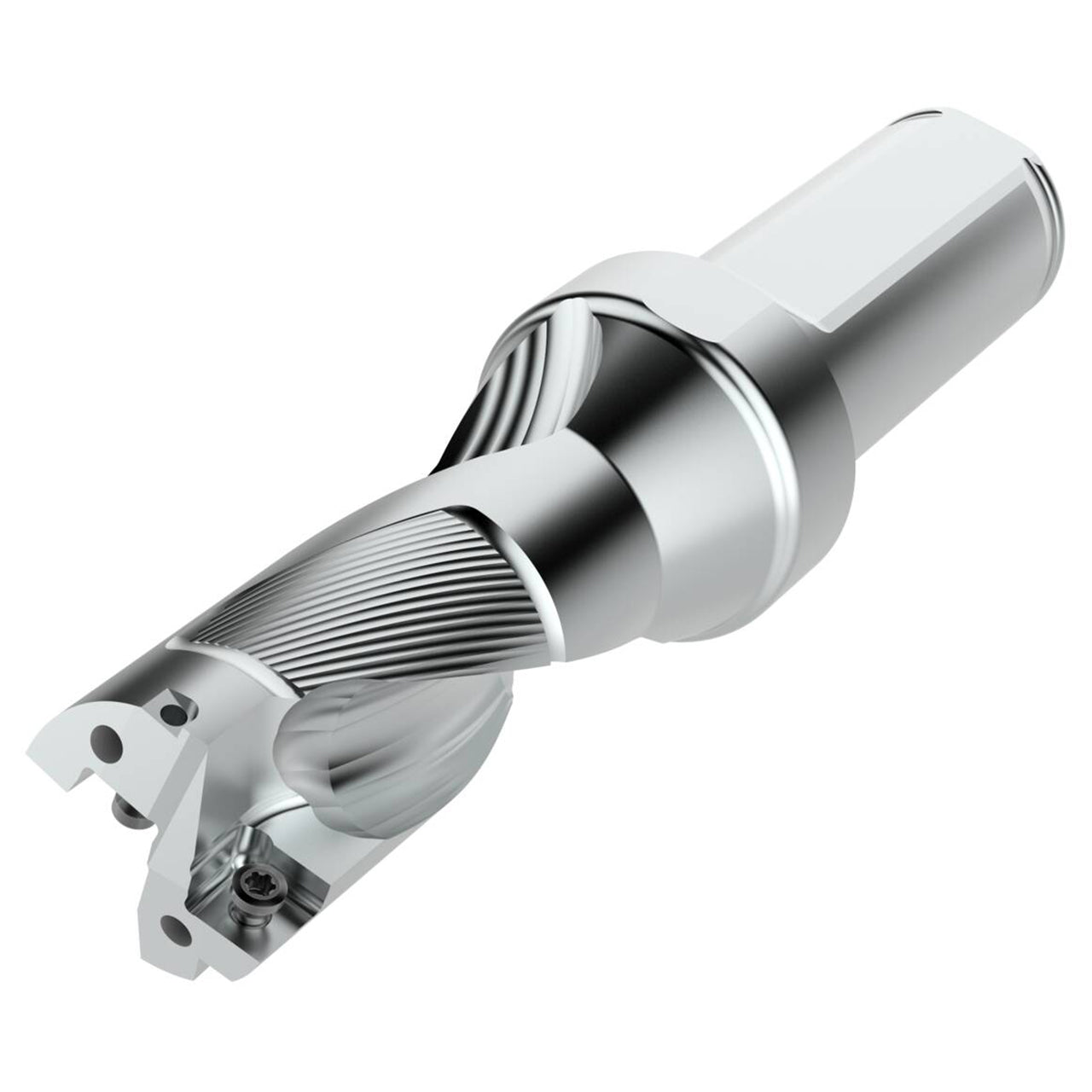03080759.jpg