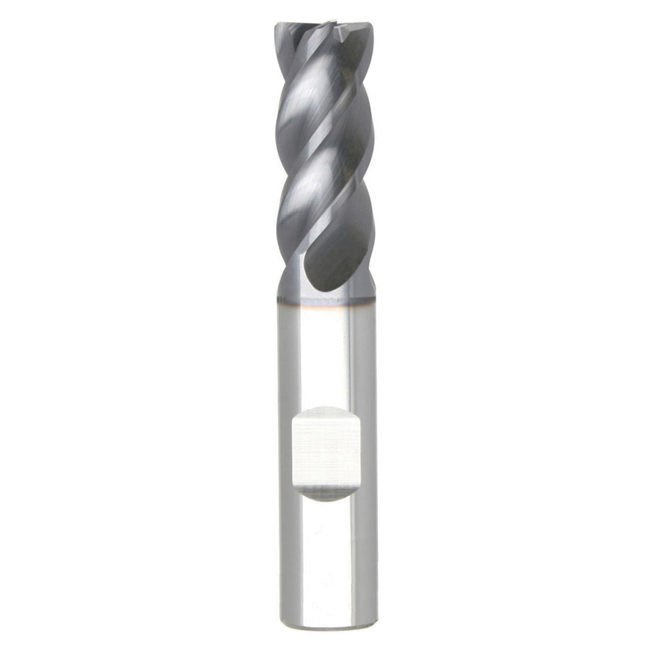 03084182.jpg
