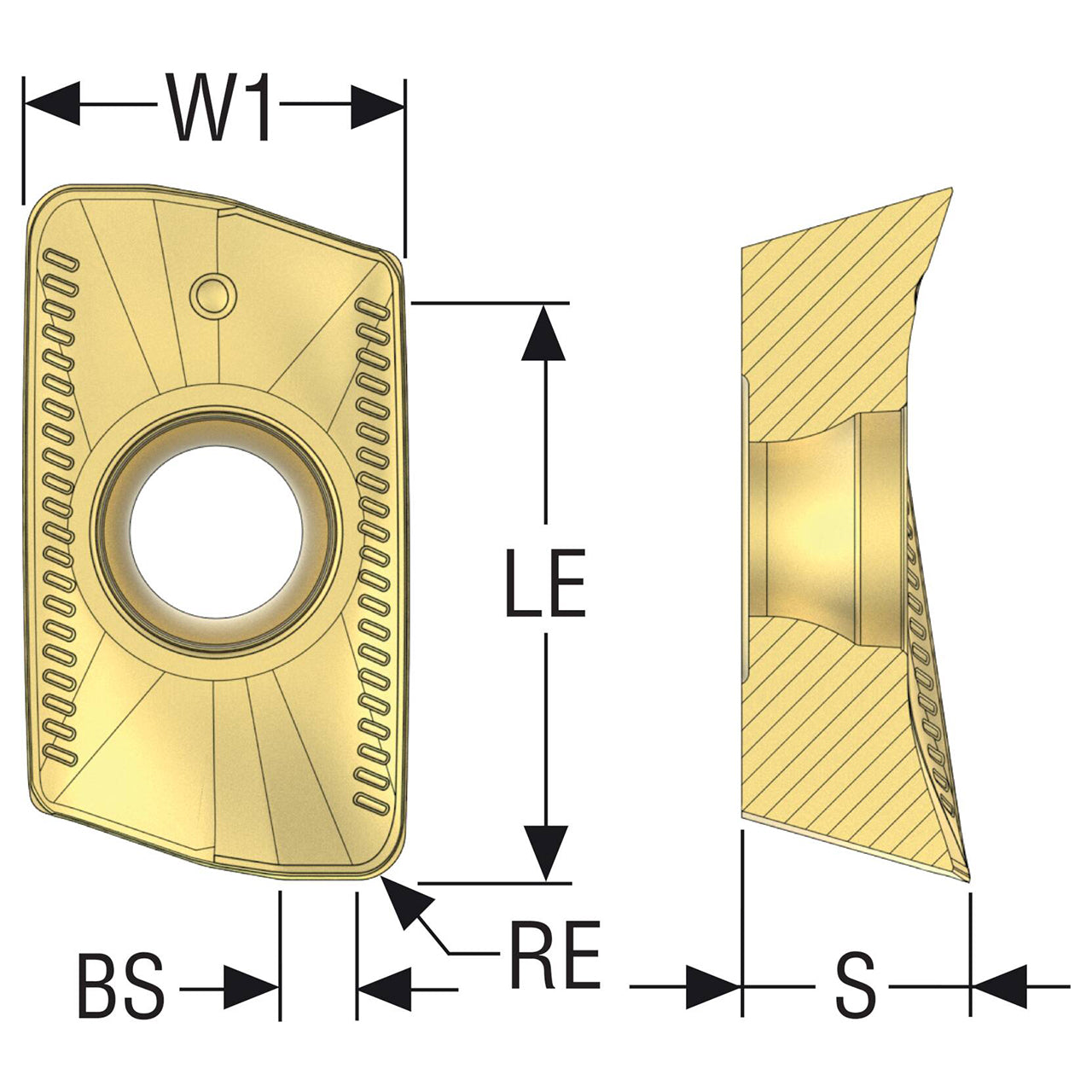 03102769.jpg