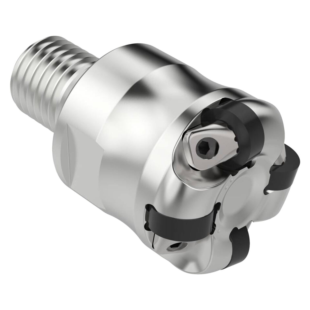 03115687.jpg