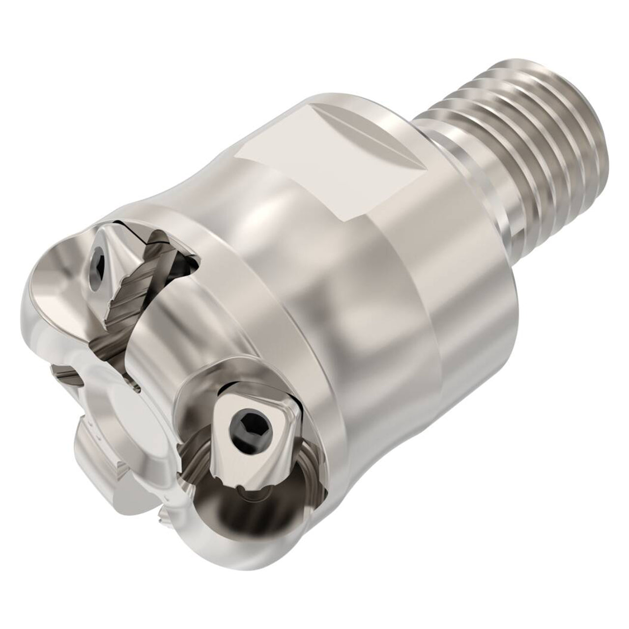 03115687.jpg