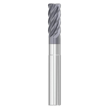 03115959.jpg